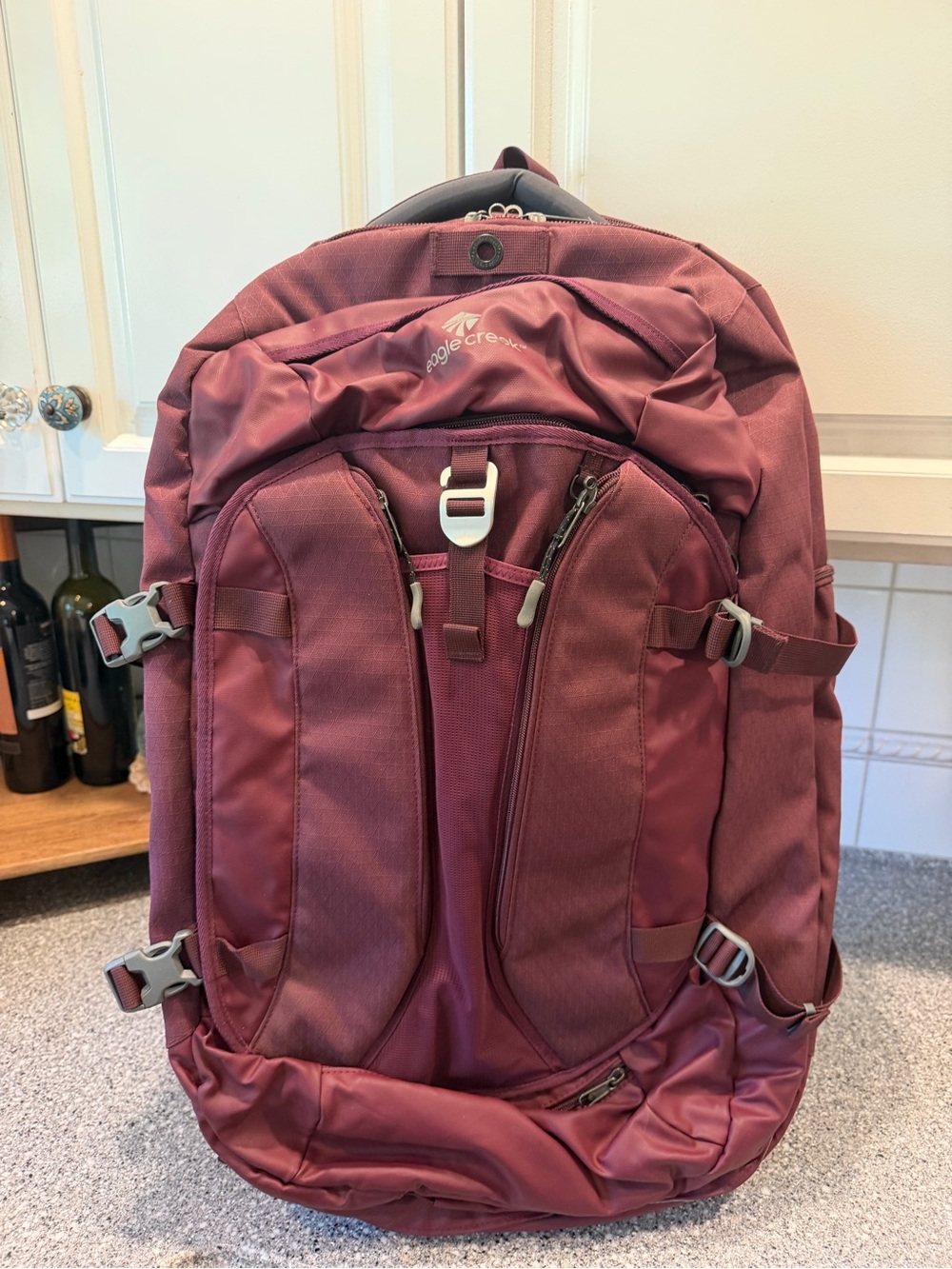 Eagle Creek Women's Multiuse 65l  Backpack Travel Water Resistant-17in Laptop
